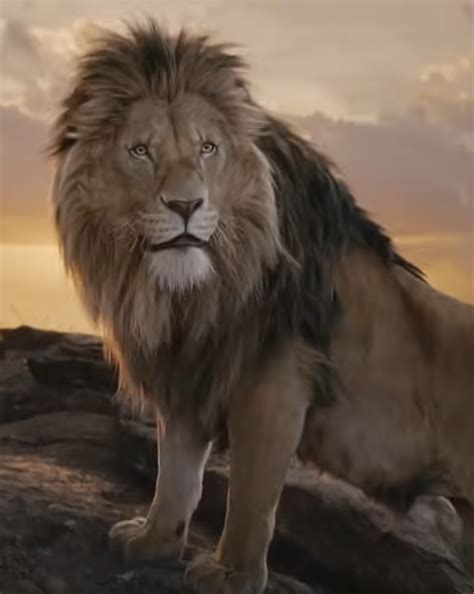 mufasa the lion king tv tropes|Characters in The Lion King .